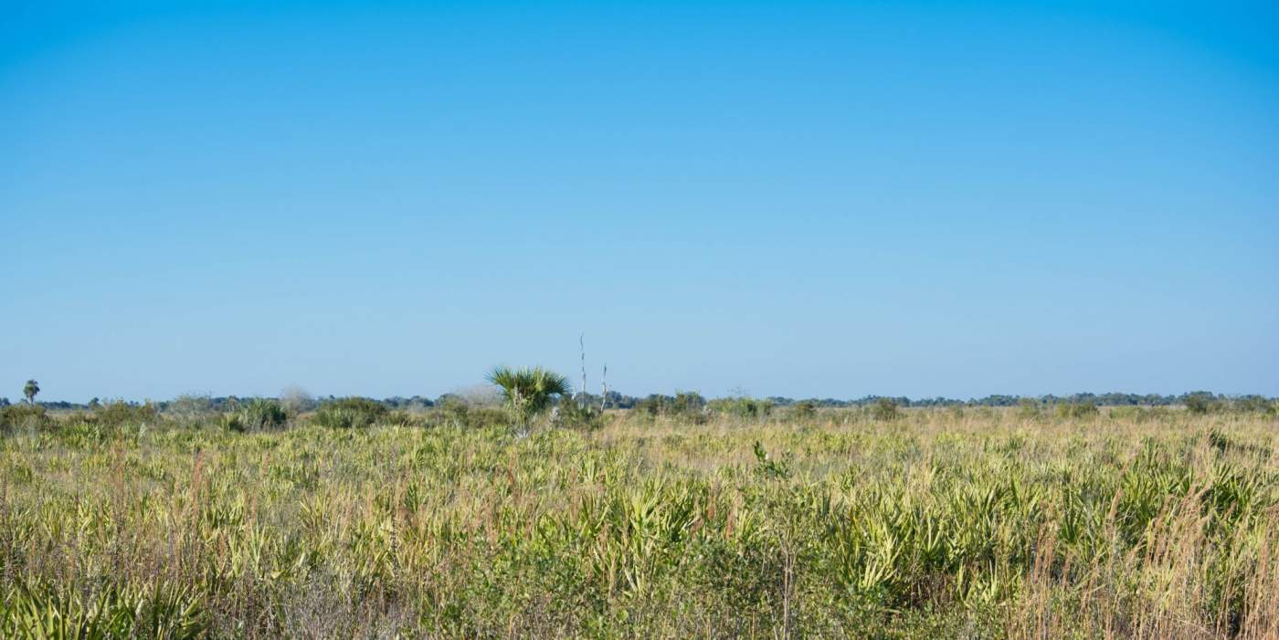 Kissimmee-Prairie-Preserve-5