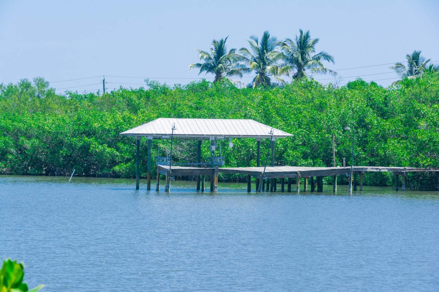 A white-roofed dock stands over calm blue water, surrounded by lush green foliage and palm trees in the background.