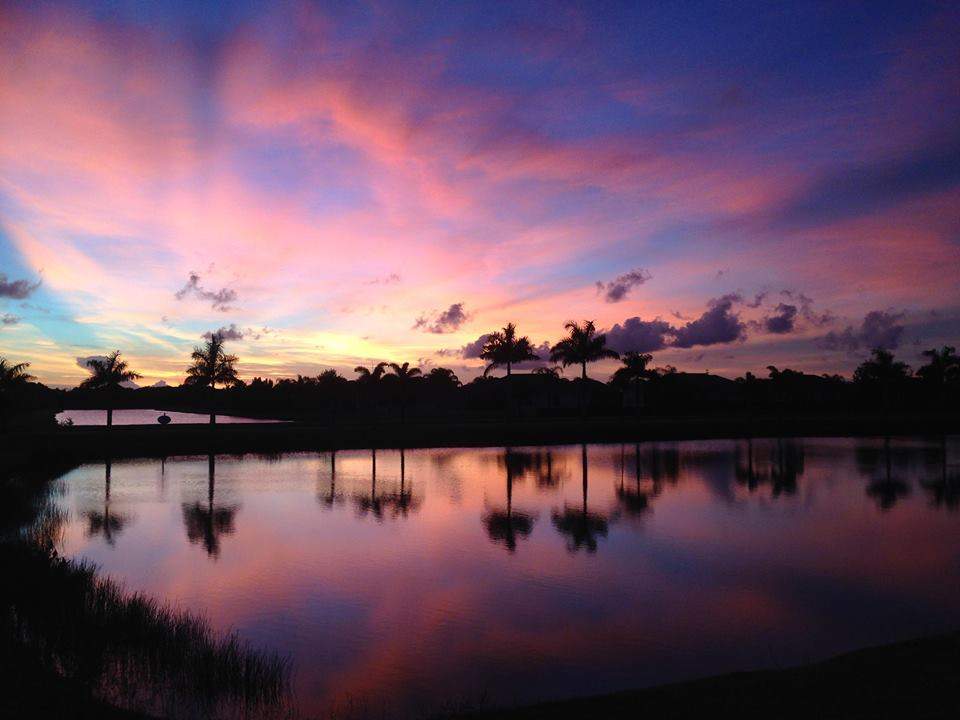 A serene lakeside view at sunset, with vibrant pink, purple, and blue hues reflecting on the water. Silhouettes of palm trees line the horizon against the colorful sky.