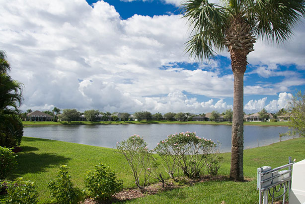 A serene landscape featuring Lake KiwI surrounded by lush green grass and bushes. A tall palm tree stands in the foreground, with a row of houses under a blue sky filled with fluffy white clouds in the background.
