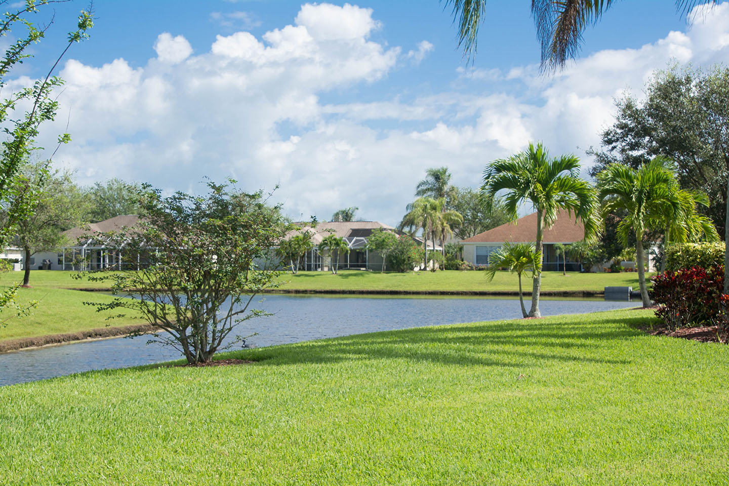 A serene landscape featuring a grassy lawn extending to a small pond. In the background, a row of houses with sloped roofs and lush palm trees are visible under a partly cloudy sky. The setting is tranquil and verdant.