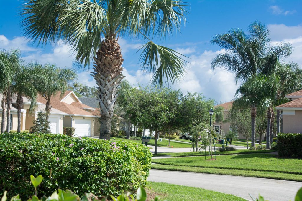 Suburban neighborhood with palm trees, manicured lawns, and light-colored houses lining a curved street. The sky is clear and blue, suggesting a sunny day. Lush greenery surrounds the homes, adding to the serene atmosphere.